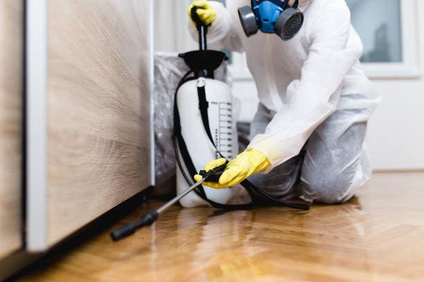 Best Best Pest Control Companies  in Kingsland, TX