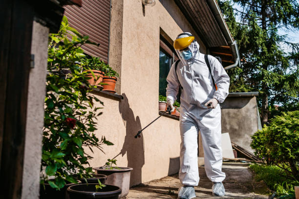 Best Pest Prevention Services  in Kingsland, TX