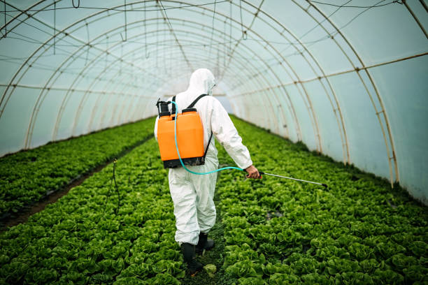 Best Commercial Pest Control Services  in Kingsland, TX