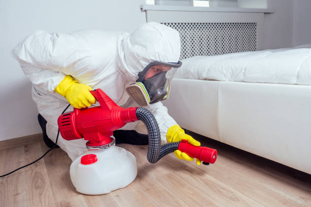 Wasp Removal Services in Kingsland, TX