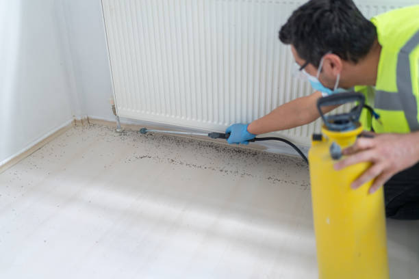 Reliable Kingsland, TX Pest Control Solutions